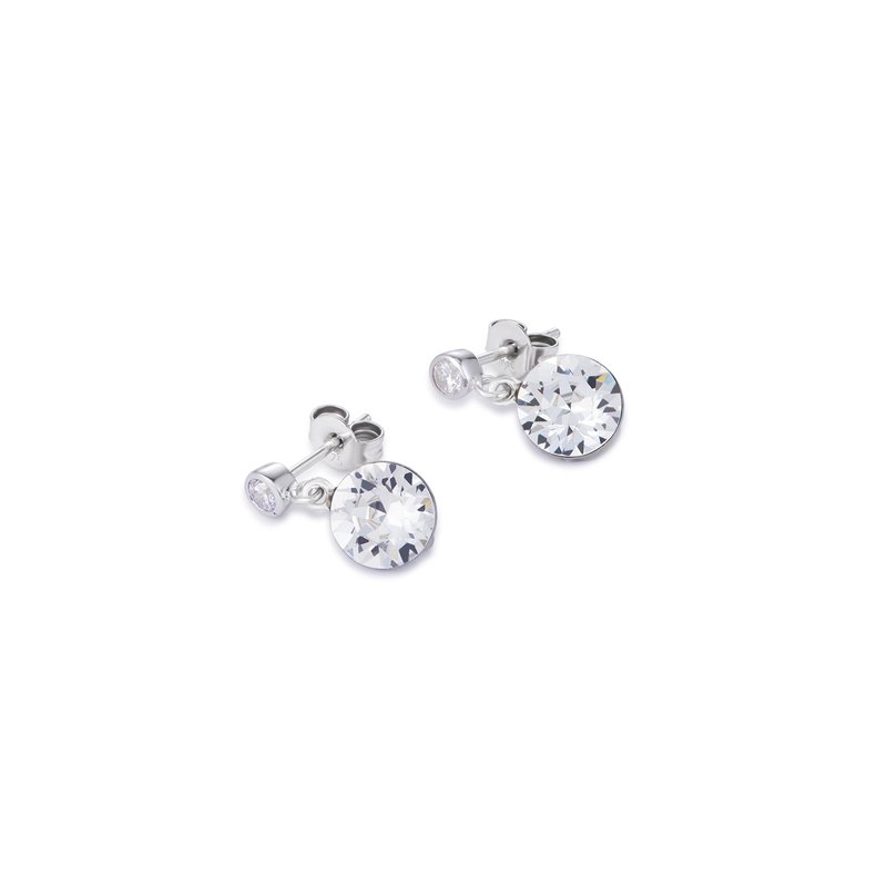 European Crystal Earring