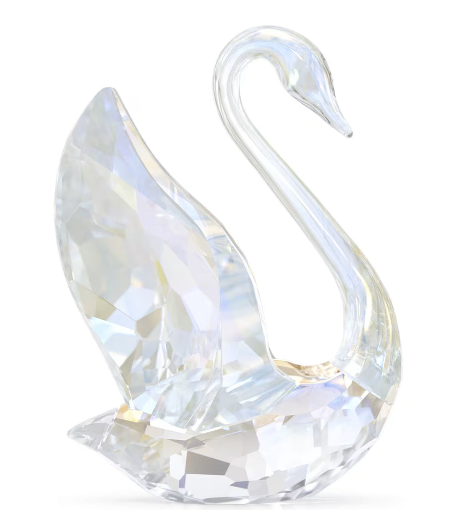 SCS 2024 Annual Edition Swan