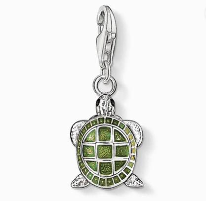 Tortoise Silver Charm