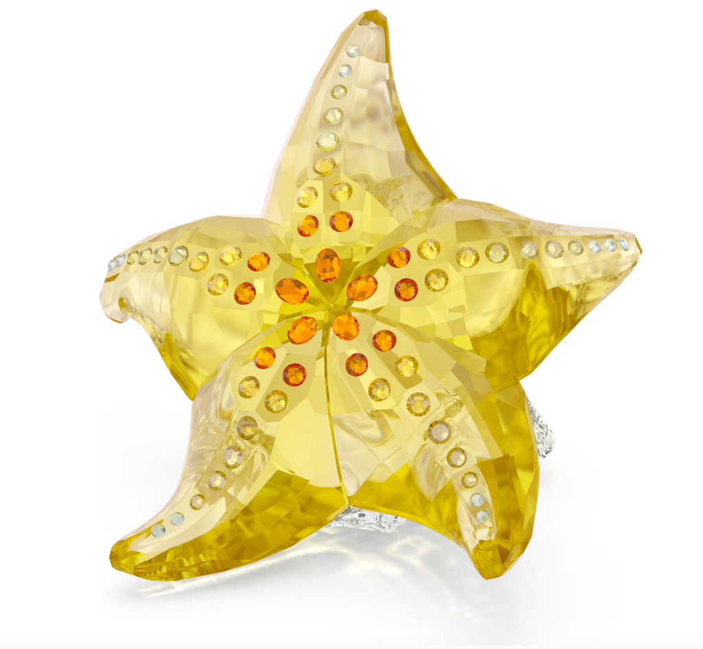 Idyllia SCS Starfish