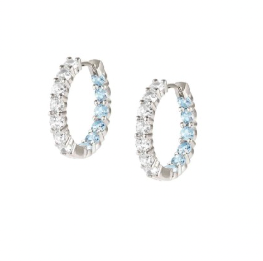 Chic & Joyful White/Blue Earrings